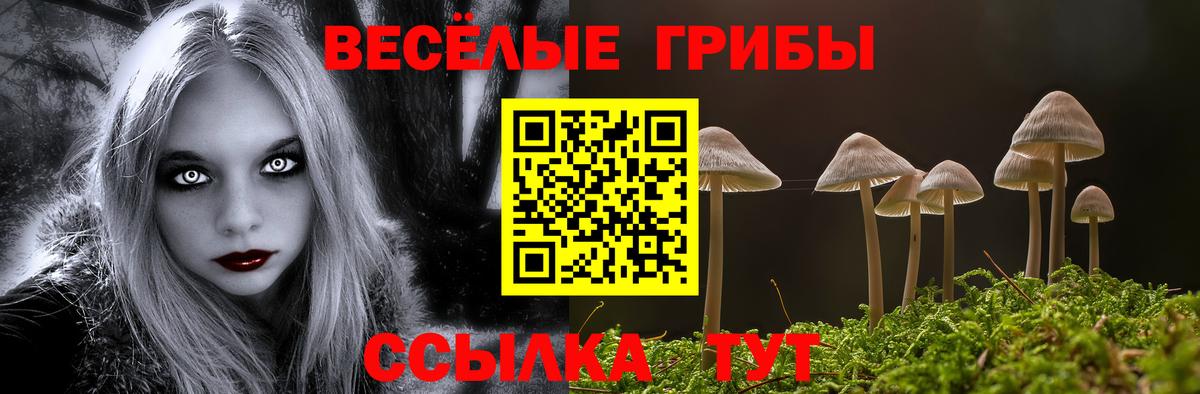 Псилоцибиновые грибы мухоморы  Псилоцибиновые грибы Cubensis  Чапаевск  Вход с VPN 